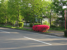 ”やかた”の５月の風景