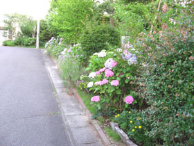 やかたの景色　７月