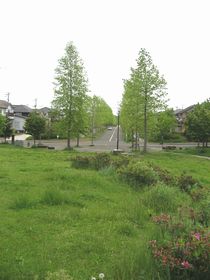 やかたの風景！　④
