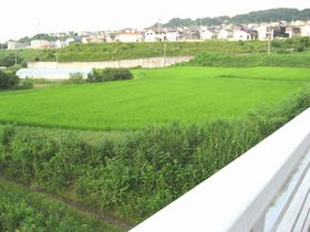 やかたの風景　⑨