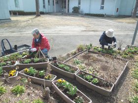 春花へ植え替えました！