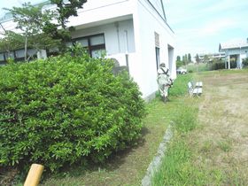 コミセン周りの草刈り
