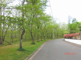 令和２年度　やかたの風景　№２