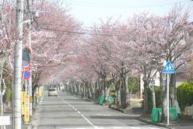 令和3年度　やかたの風景　№１