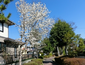 令和５年度　やかたの風景　№１