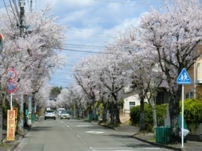 館（やかた）町内